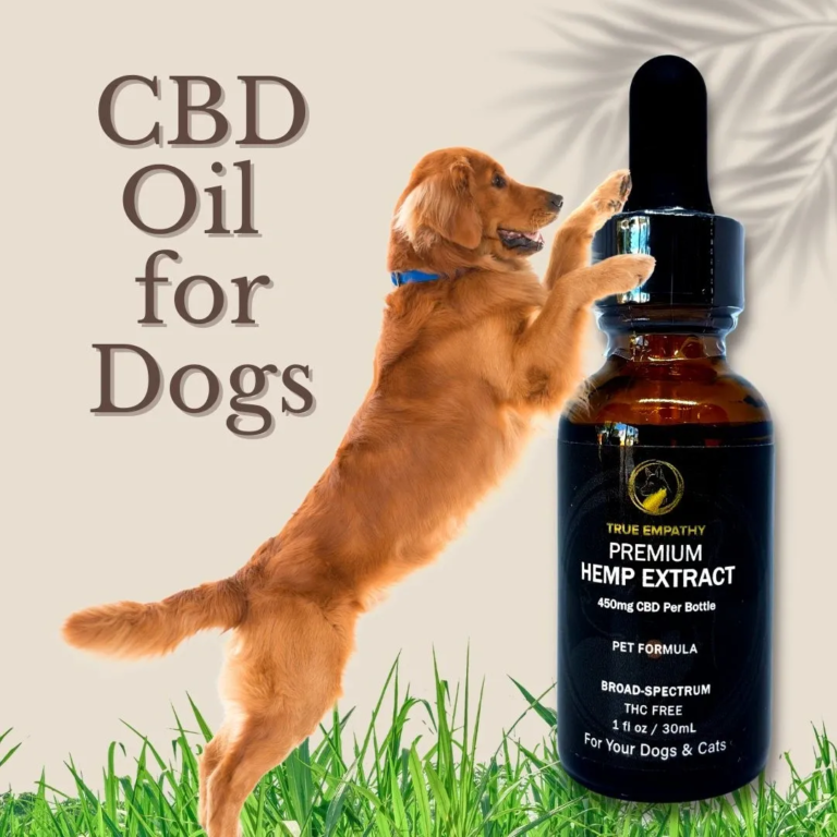 Exploring CBD for Pets: A Comprehensive Guide to Natural Support